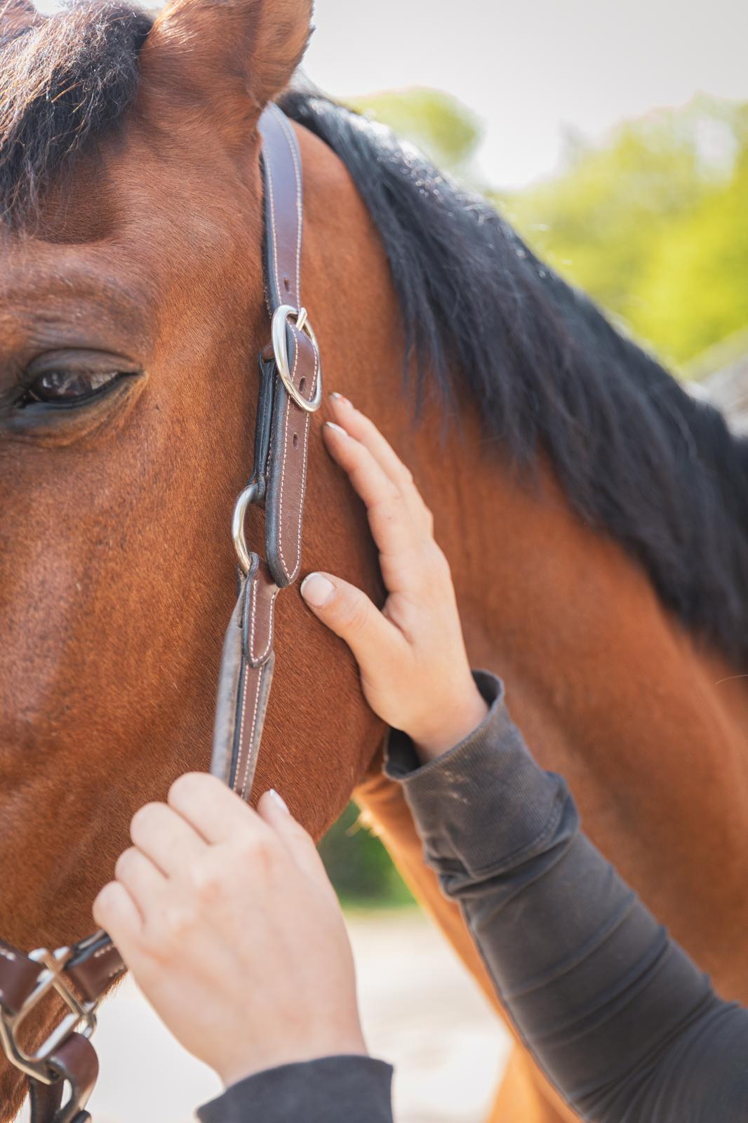 Massage pres Entretien