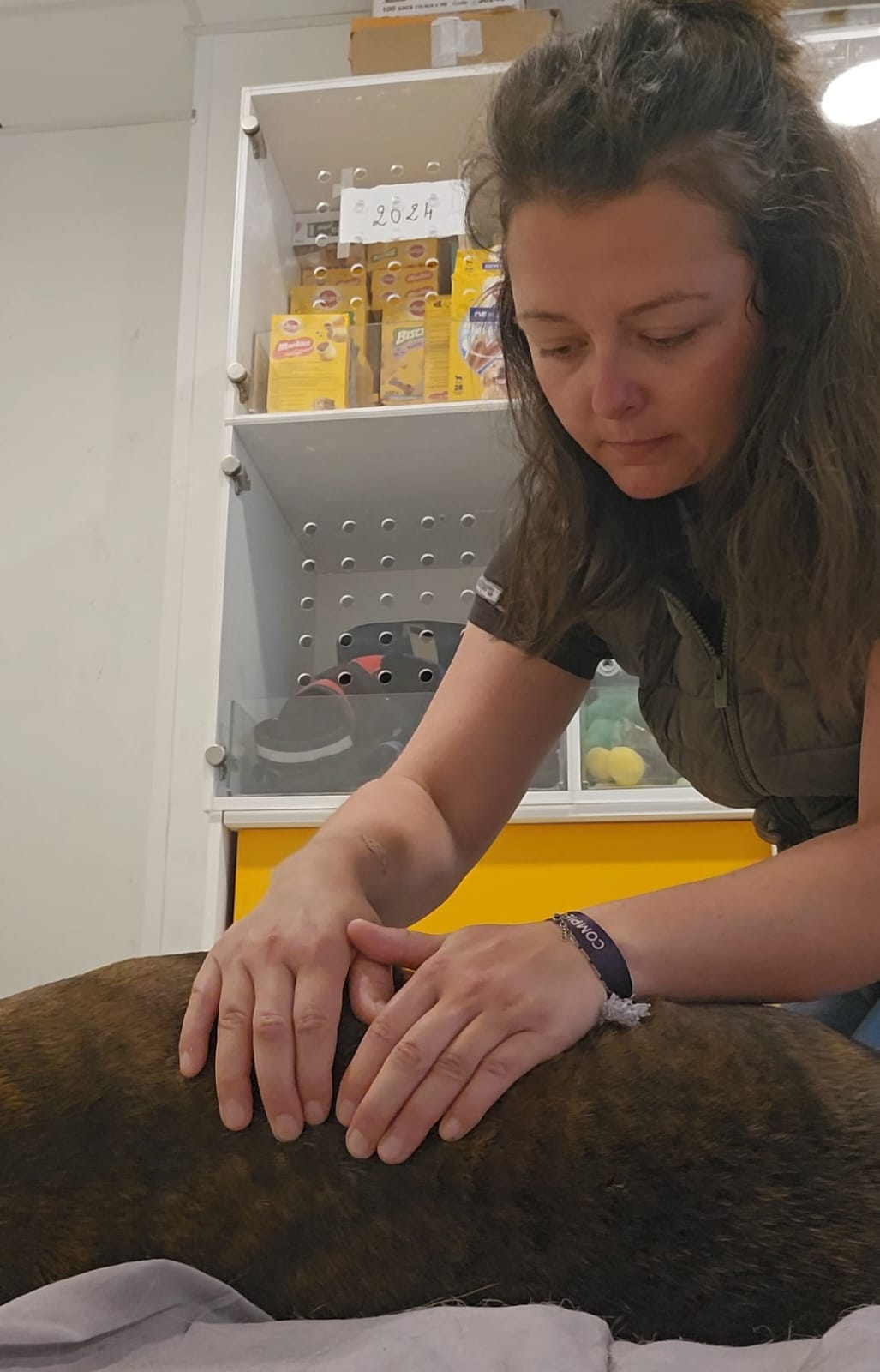 Massage entretien chien